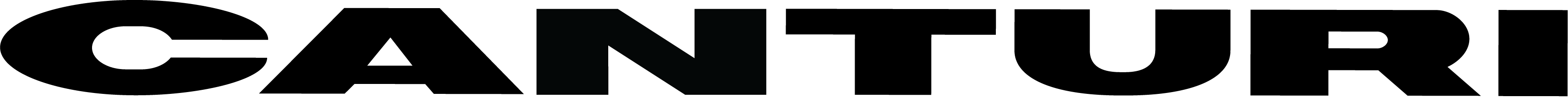 Canturi logo