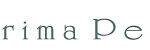 Collections Fine Jewellery logo